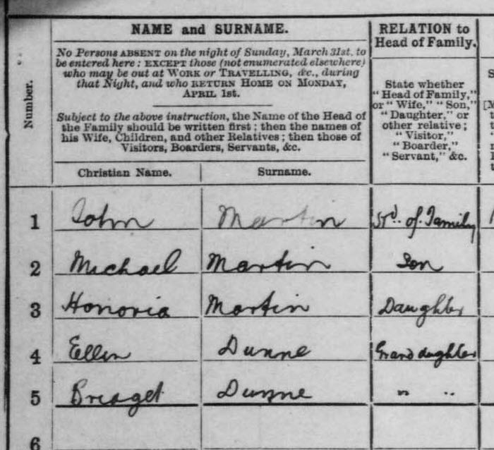 detail of 1901 Irish census record